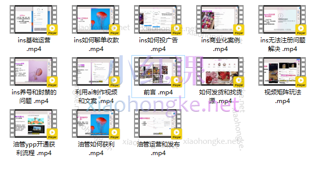 跨境电商小p哥:外贸跨境电商-海外社媒运营课