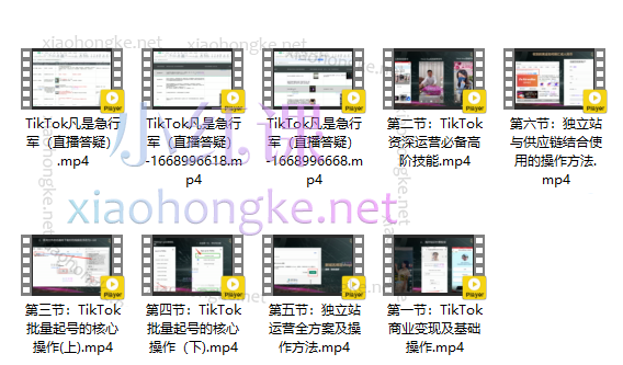 凡是跨境:第八期tiktok大航海落地班