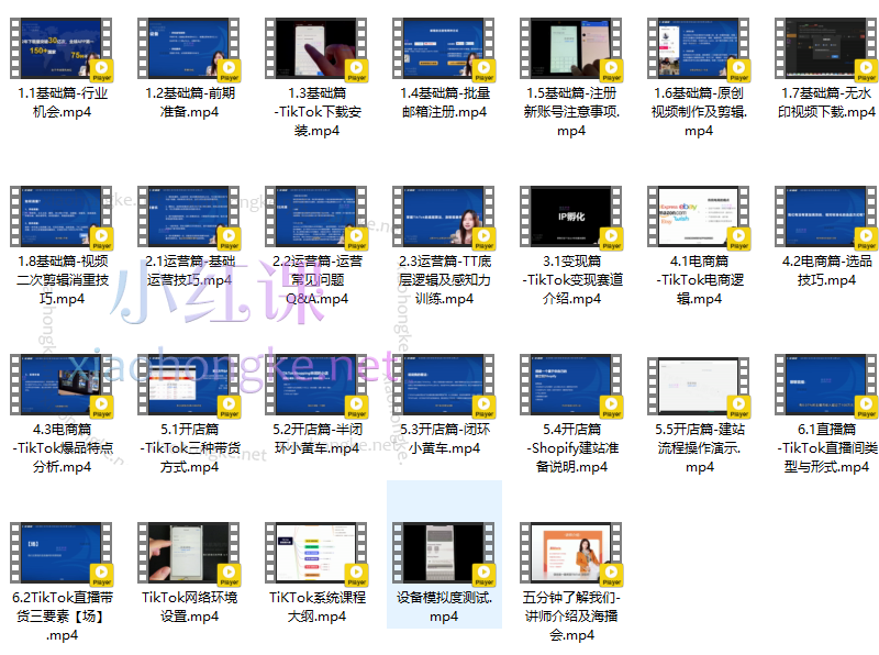 TikTok流量与变现系统课，快速入门TikTok变现 课程内含涨粉变现+电商带货+直播带货玩法