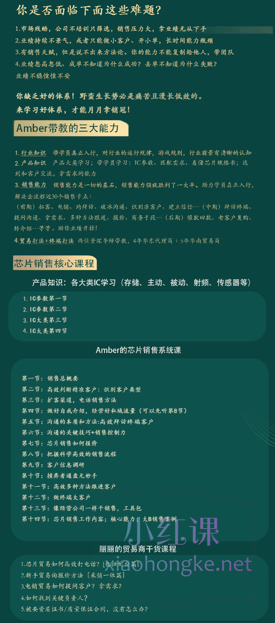 Amber的芯片销售系统课,从入门到精通的全方位秘籍