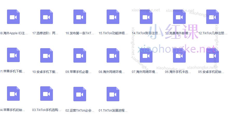 疯人院TikTok安装注册保姆级实操课（完整版）