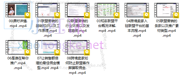 Affiliate鹰熊汇流量真金, 引爆你的订单……
