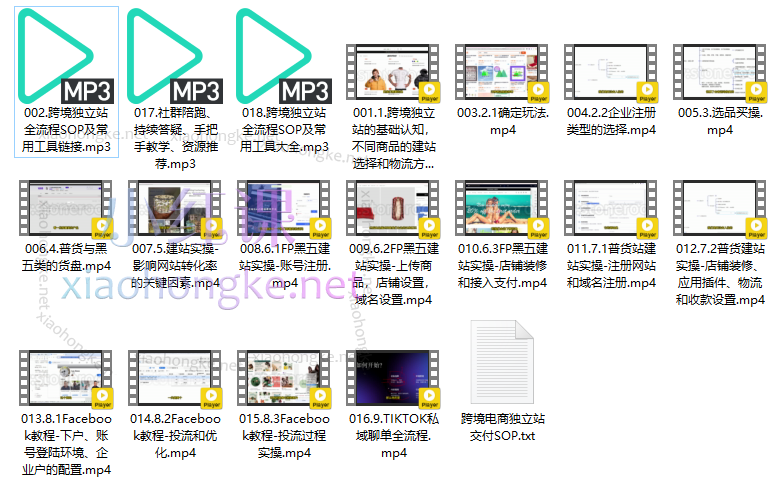 厚玉Aron跨境电商独立站及全域流量营销,普货特货独立站、Facebook投放、Tiktok私域运营-0基础从入门到精通