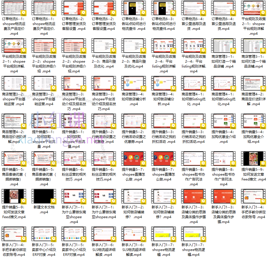 《悟空跨境电商》shopee虾皮,跨境月入3万