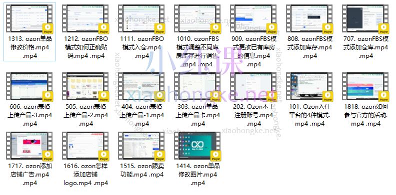俄罗斯OZON本土电商精品课