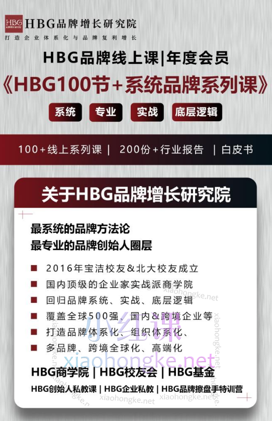 HBG品牌研究院《HBG100节+系统品牌方法论完整课程合集》