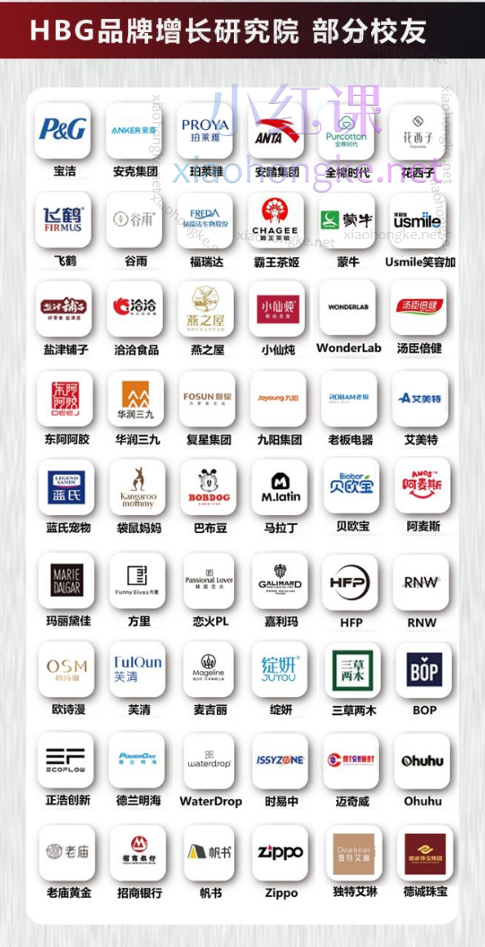 HBG品牌研究院《HBG100节+系统品牌方法论完整课程合集》