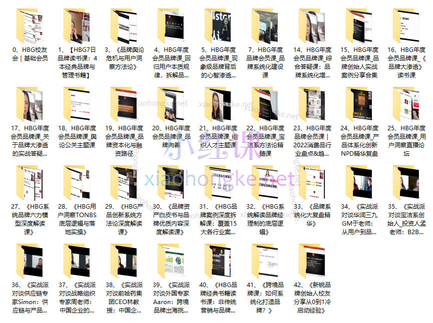 HBG品牌研究院《HBG100节+系统品牌方法论完整课程合集》