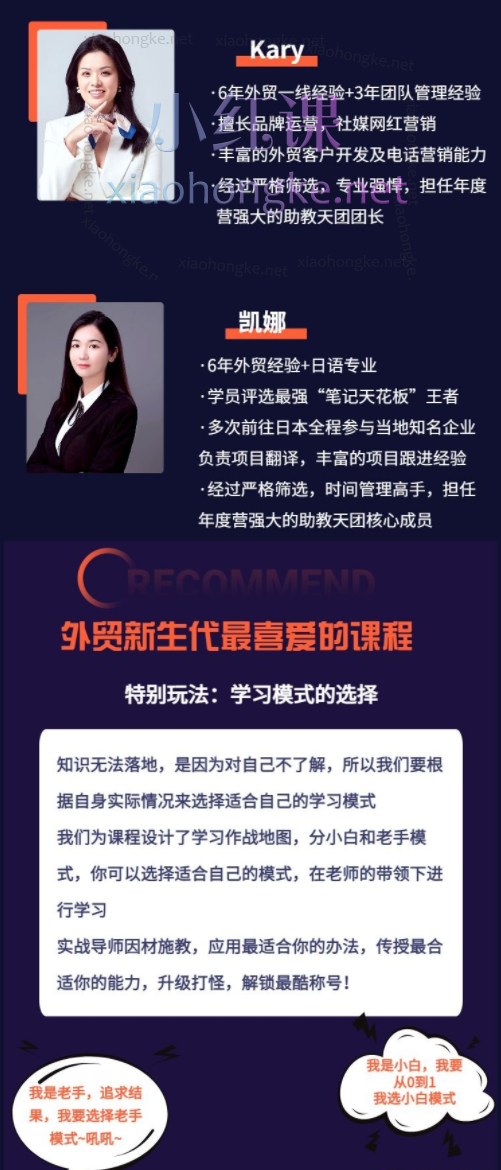 顶尖外贸领袖 - 全链路实操落地年度训练营