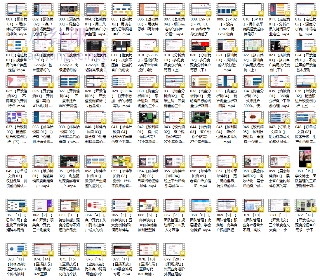 顶尖外贸领袖 - 全链路实操落地年度训练营