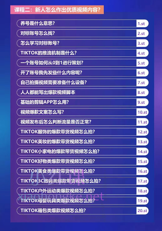 大西南出海开个TikTok达人号轻松学会全球赚钱技能