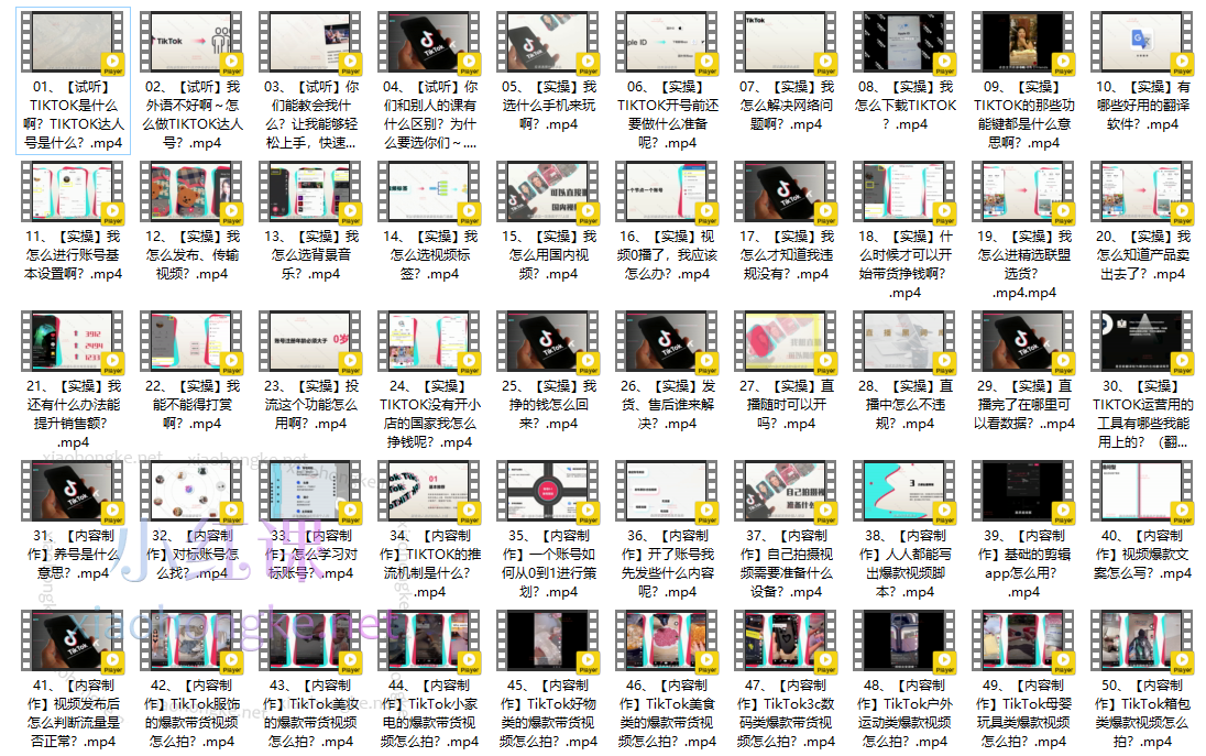 大西南出海开个TikTok达人号轻松学会全球赚钱技能