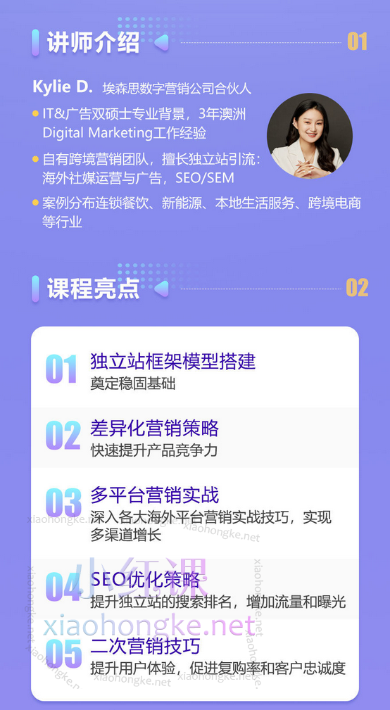 Kyie D独立站营销全流程，让你的独立站Google排名持续上升!