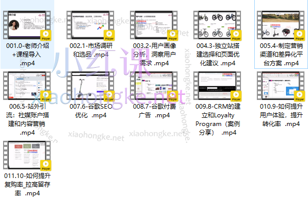 Kyie D独立站营销全流程，让你的独立站Google排名持续上升!