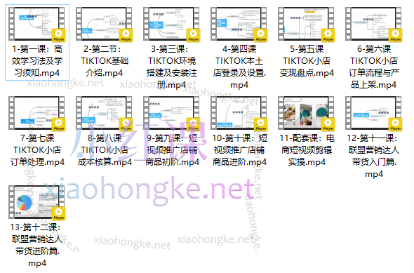TikTok出海计划陪跑训练营-翊星联盟
