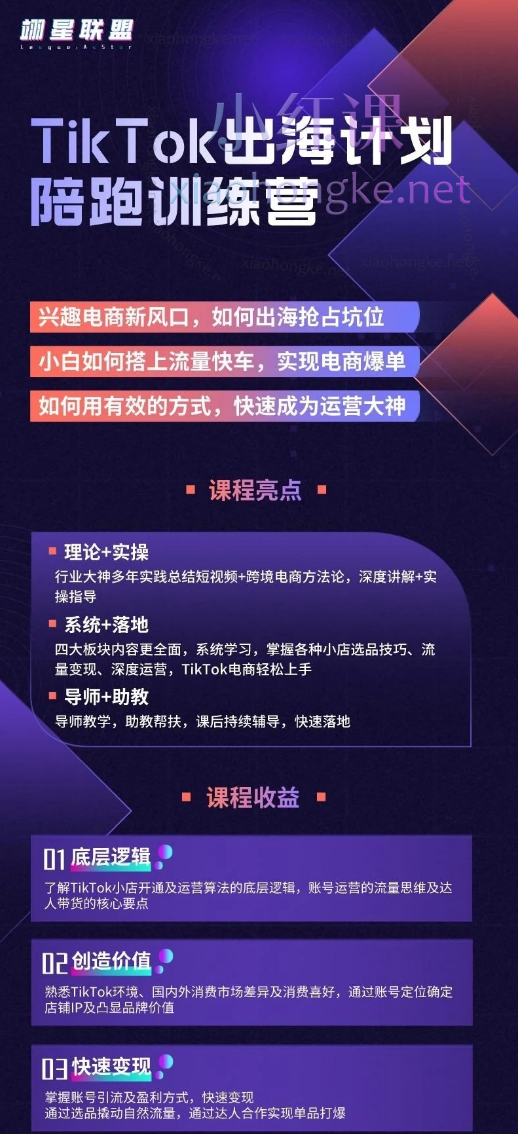 TikTok出海计划陪跑训练营-翊星联盟