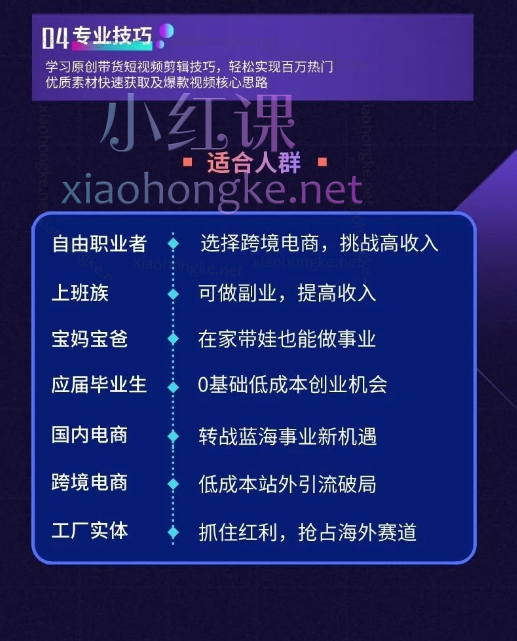TikTok出海计划陪跑训练营-翊星联盟