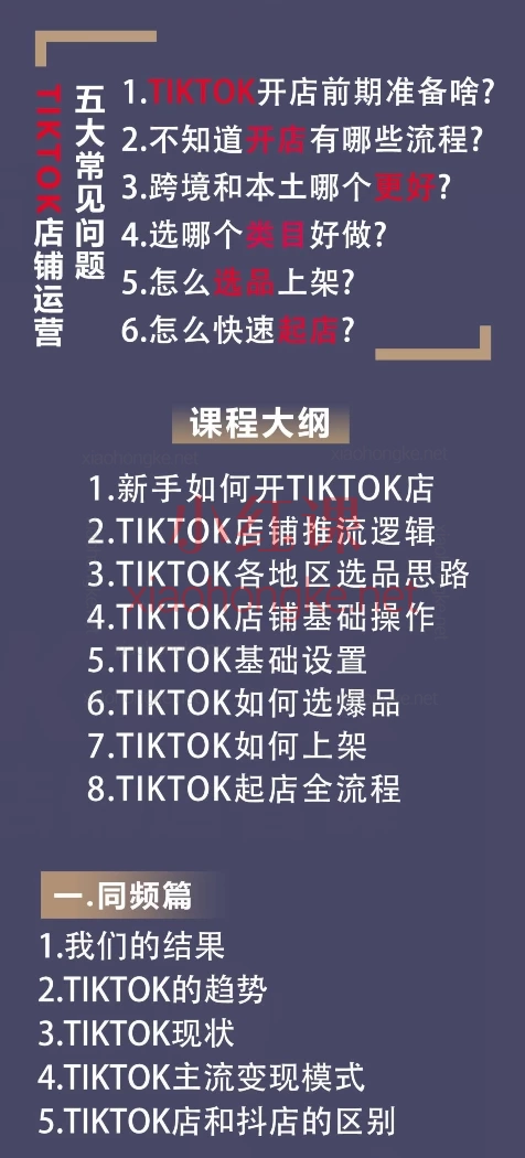 万三-东南亚跨境tk小店运营课