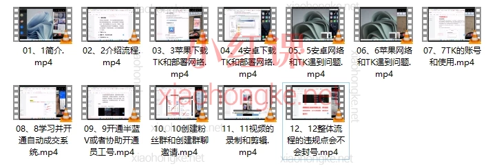TK虚拟资源变现