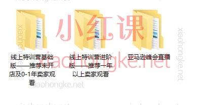 2024亚马逊全球开店跨境峰会,基础版+进阶版