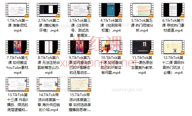 大航海计划TikTok流量增长变现训练营