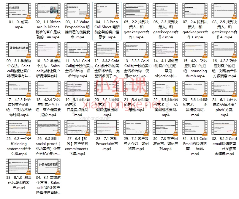 Sarah老李外贸电话高手：黄金话术高成交客户开发（自学版）