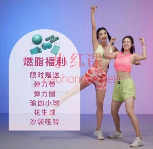 桑禹涵Sky3D立体小蛮腰养成课,打造3D立体精致腰腹曲线小白在家随时跟学