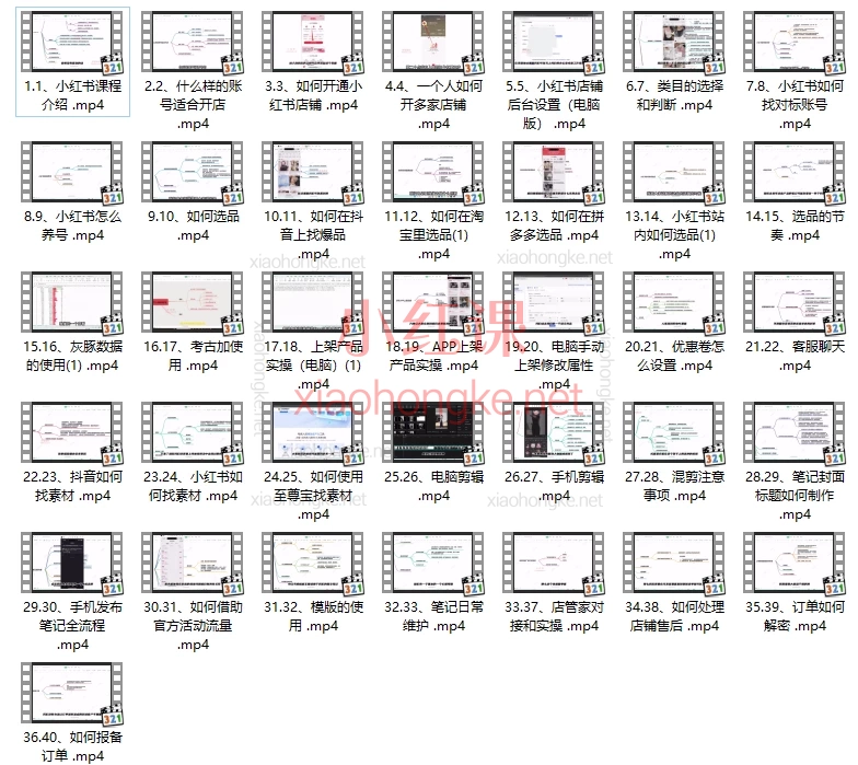 彤彤小红书电商运营班，全套运营课程
