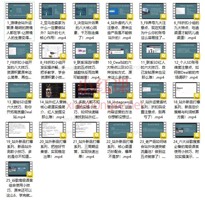 狼啸会敏哥聪明的跨境人都在学的亚马逊站外运营课，手把手教你成为站外运营高手！