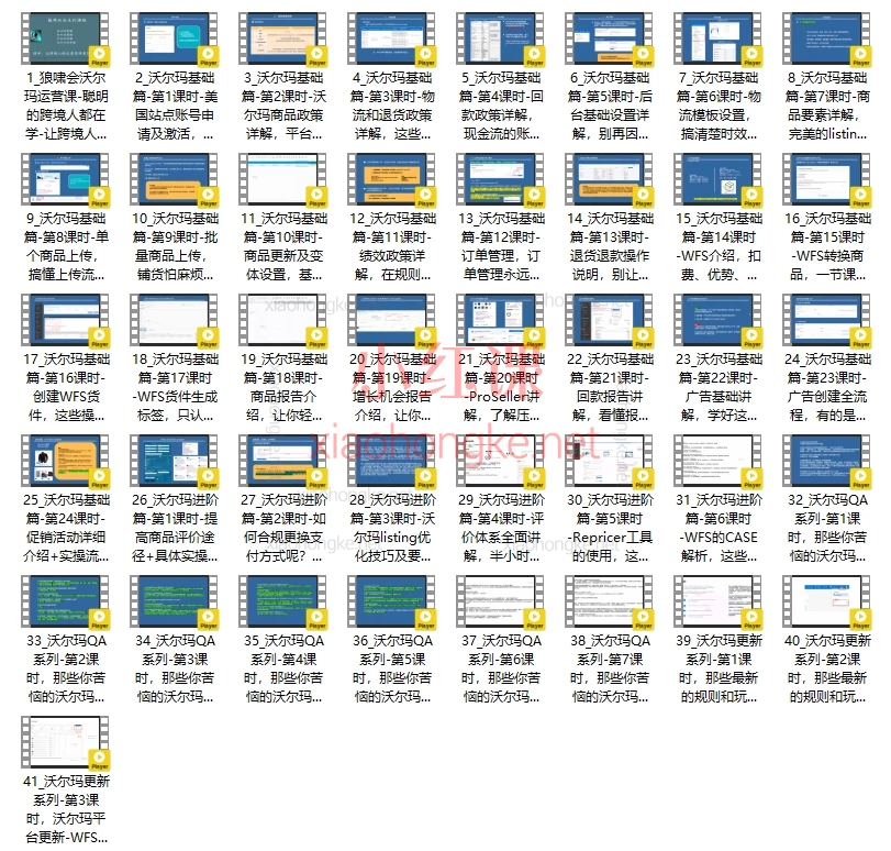 狼潇会敏哥亚马逊站内运营课，手把手带你成为运营高手