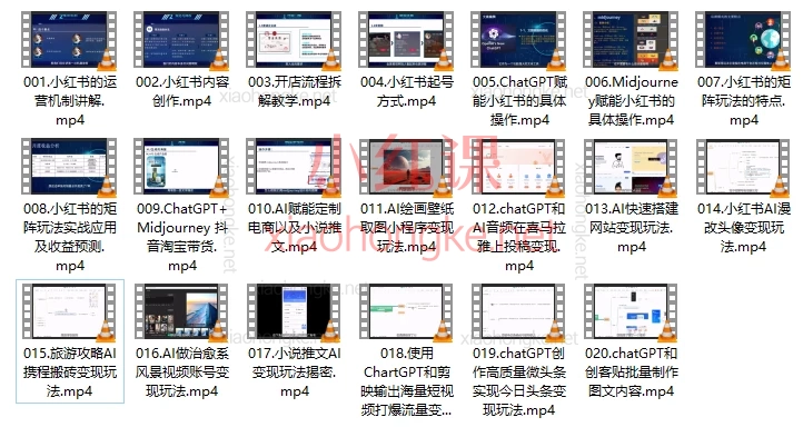 小智AI科技AI副业实战变现课,AI带你飞向财富前沿