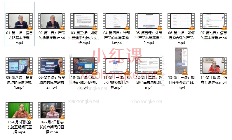 张会长跨境资产VIP训练营,财富自由先让认知自由