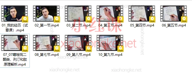 南哥糖人路：甜蜜手册第一季