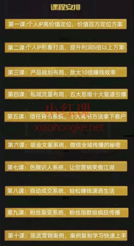 DeepSeek时代打造超级个人IP- 放大营销势能100倍