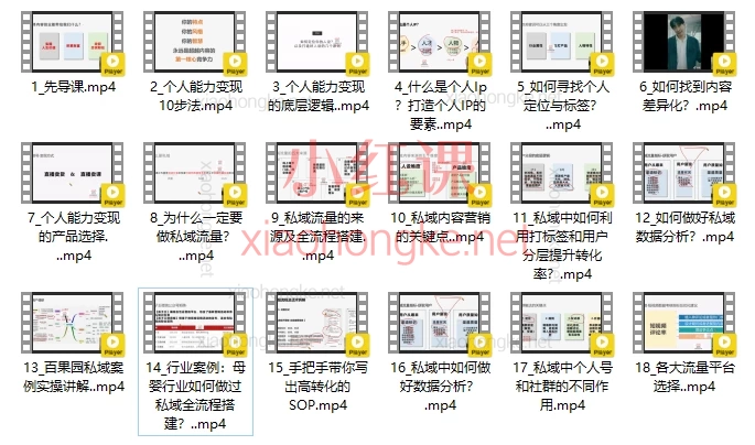 叨叨老师全域流量运营操盘课 - 解锁私域流量与个人IP的财富密码