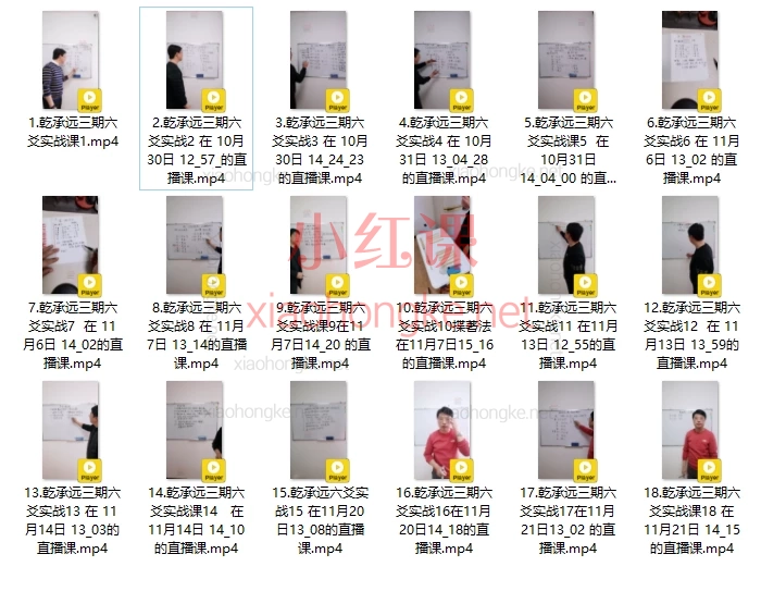 张东武新架一路进阶课视频课