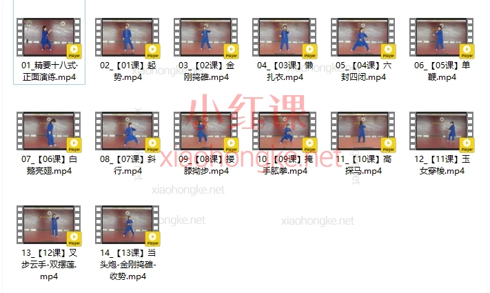 徐勤兰陈式太极拳精要十八式视频课