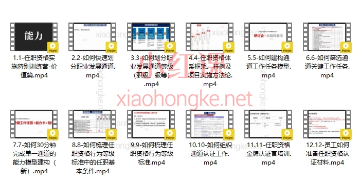 ［C叔的HR视界］任职资格实施项目特别训练营