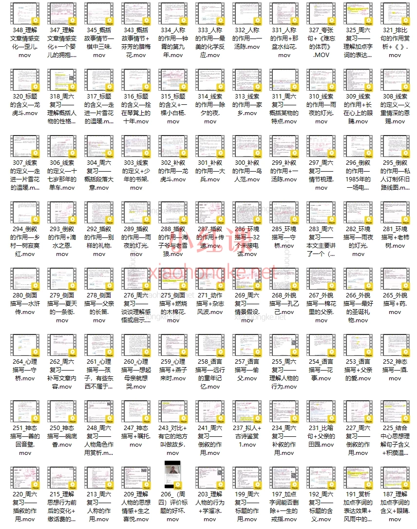 小王老师中学语文阅读专项题型天天练
