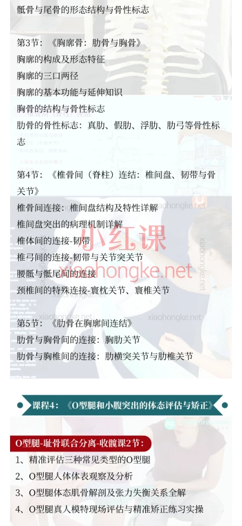 马子惟整合评估培训学院23节四维教练私教入门课程包