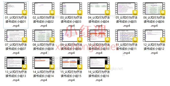 认知行为–邱官钦读书成长分享16讲