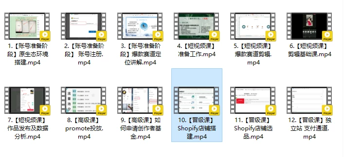 TIKTOK海外自媒体短视频录播课