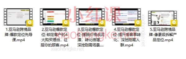 恐龙跨境-爆款定位高客单产品蓝海同质化战略