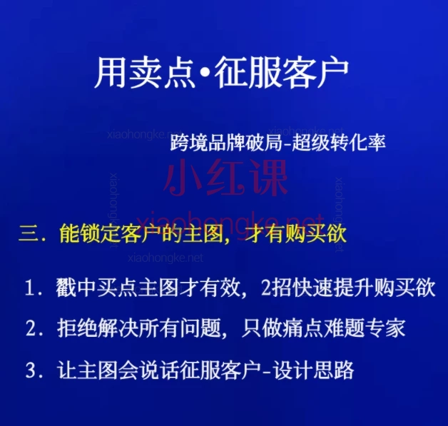 万恐龙跨境-【用卖点征服客户】超级转化率-跨境品牌卖家listing运营主图设计