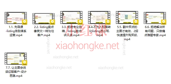 万恐龙跨境-【用卖点征服客户】超级转化率-跨境品牌卖家listing运营主图设计