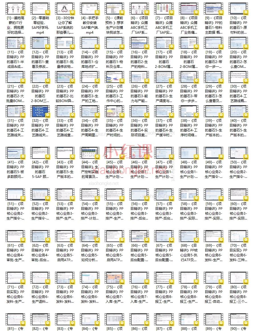 SAP PP高级培训课程-SAP PP大师修炼之路铂金版