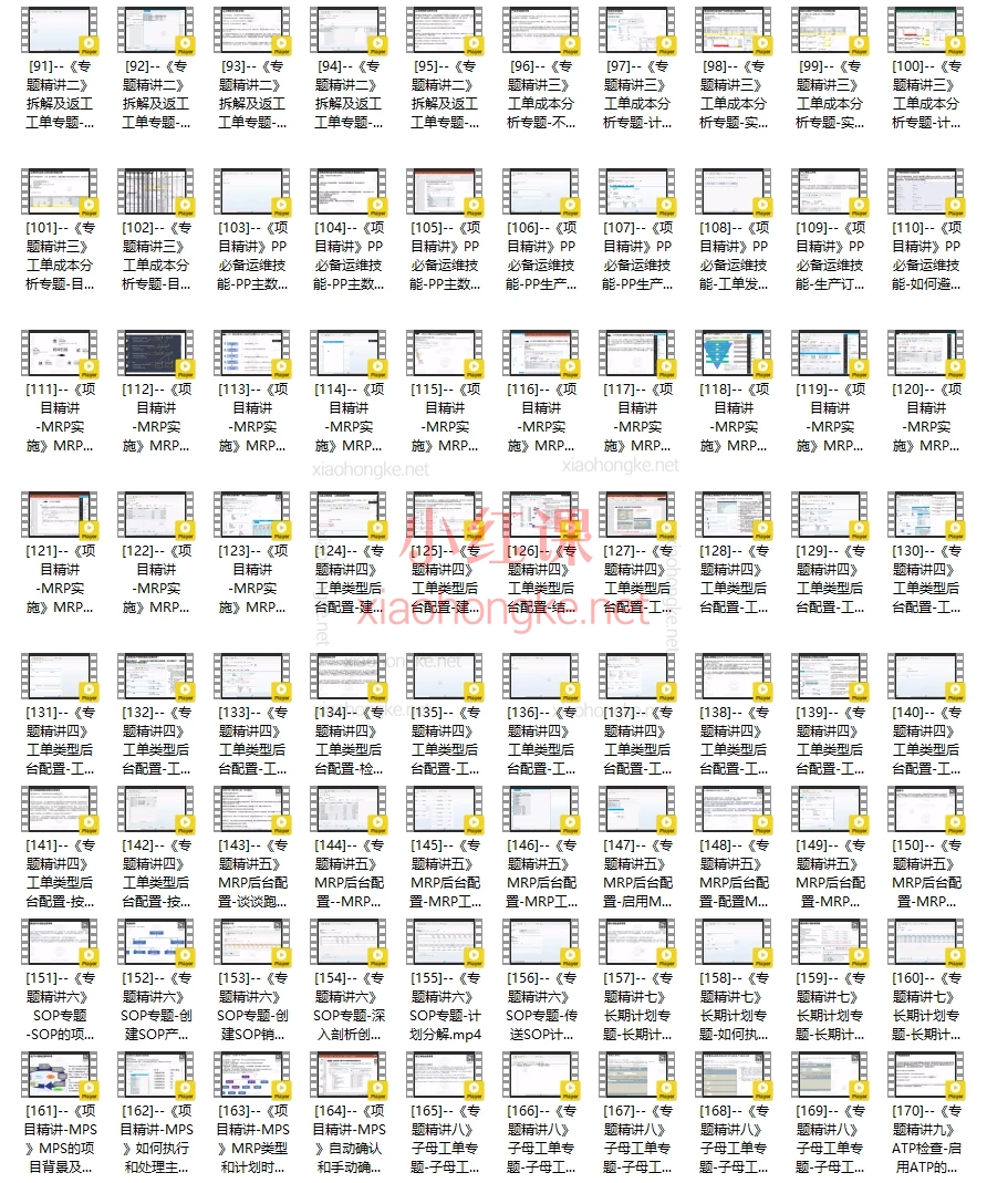 SAP PP高级培训课程-SAP PP大师修炼之路铂金版