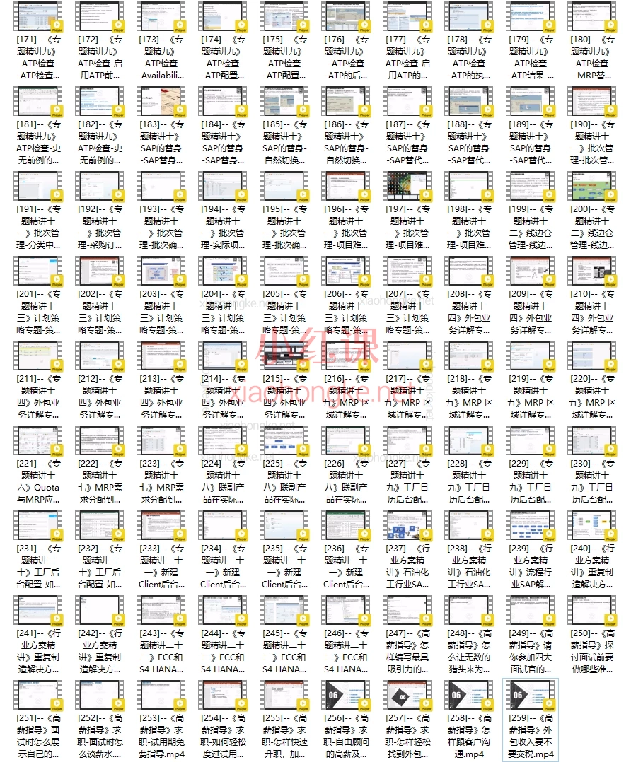 SAP PP高级培训课程-SAP PP大师修炼之路铂金版
