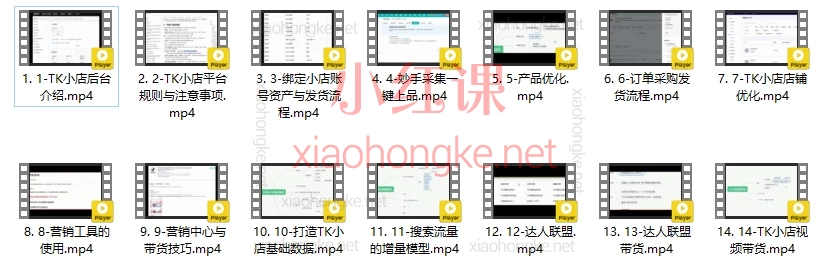 蕾蕾聊跨境TikTok店铺运营从0到1学习课程