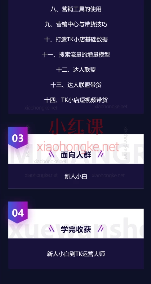 蕾蕾聊跨境TikTok店铺运营从0到1学习课程
